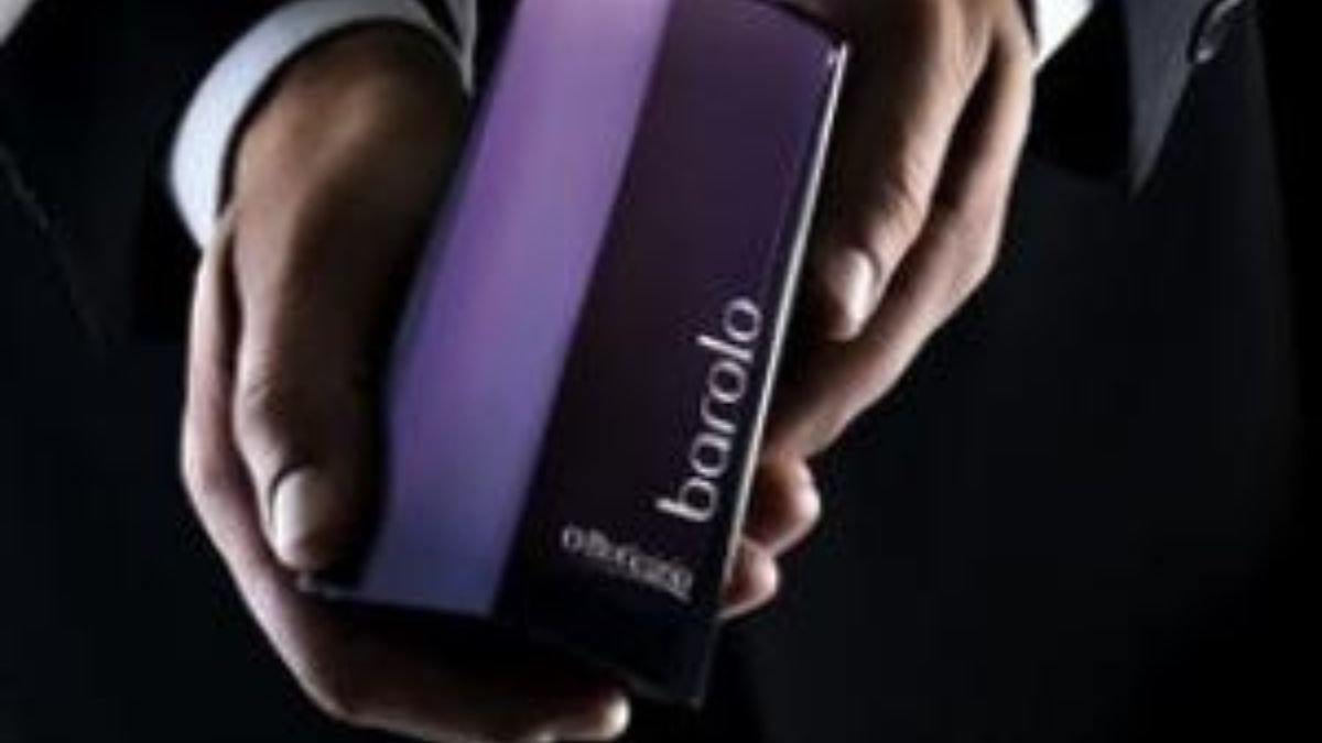 Enhancing Business Spaces with Borolo Premium Profumatori per Ambienti