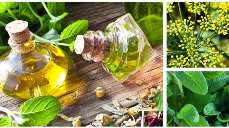 Herbal Treatment for Anxiety