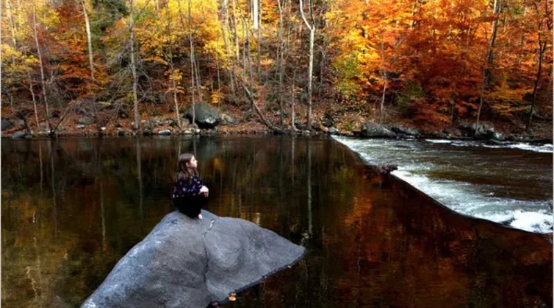 Croton-on-Hudson, NY Discover a Vibrant Village with Natural Beauty and Strong Community Spirit